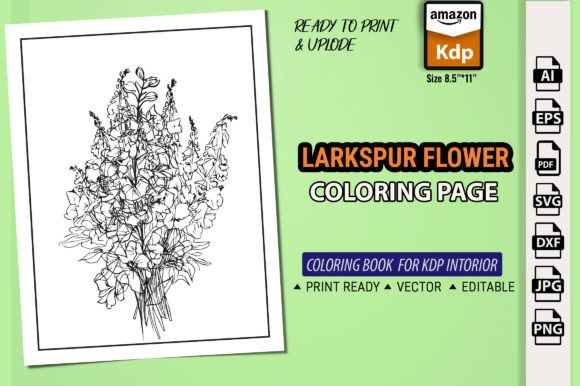 Delphinium Botanical Line Drawing Vector Guide